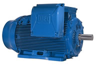 Motor trifásico Linha W22 Plus