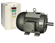 Motor trifásico Linha Wmagnet