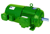 Motor trifásico Inverter Duty Alto Rendimento Plus