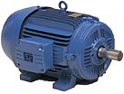 Motor trifásico Standard Linha W21