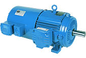 Motor trifásico inverter Duty Motor TEBC