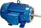 Motor trifásico Standard Linha W21