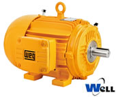Motor linha Well (Alto Rendimento Plus)