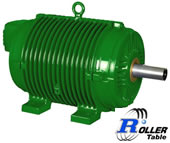 Roller Table Motor (Alto Rendimento Plus)